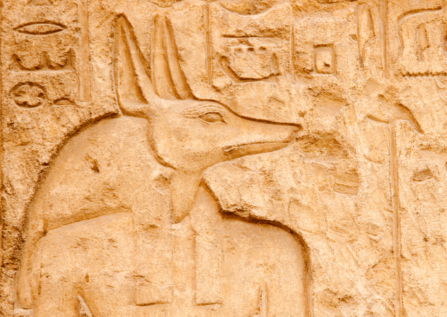 Egyptian god Anubis