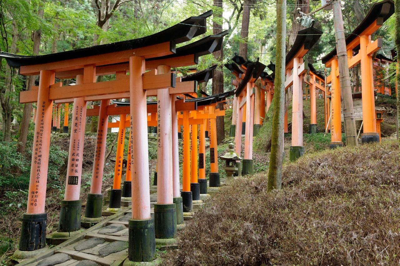 The path to Inari's temple