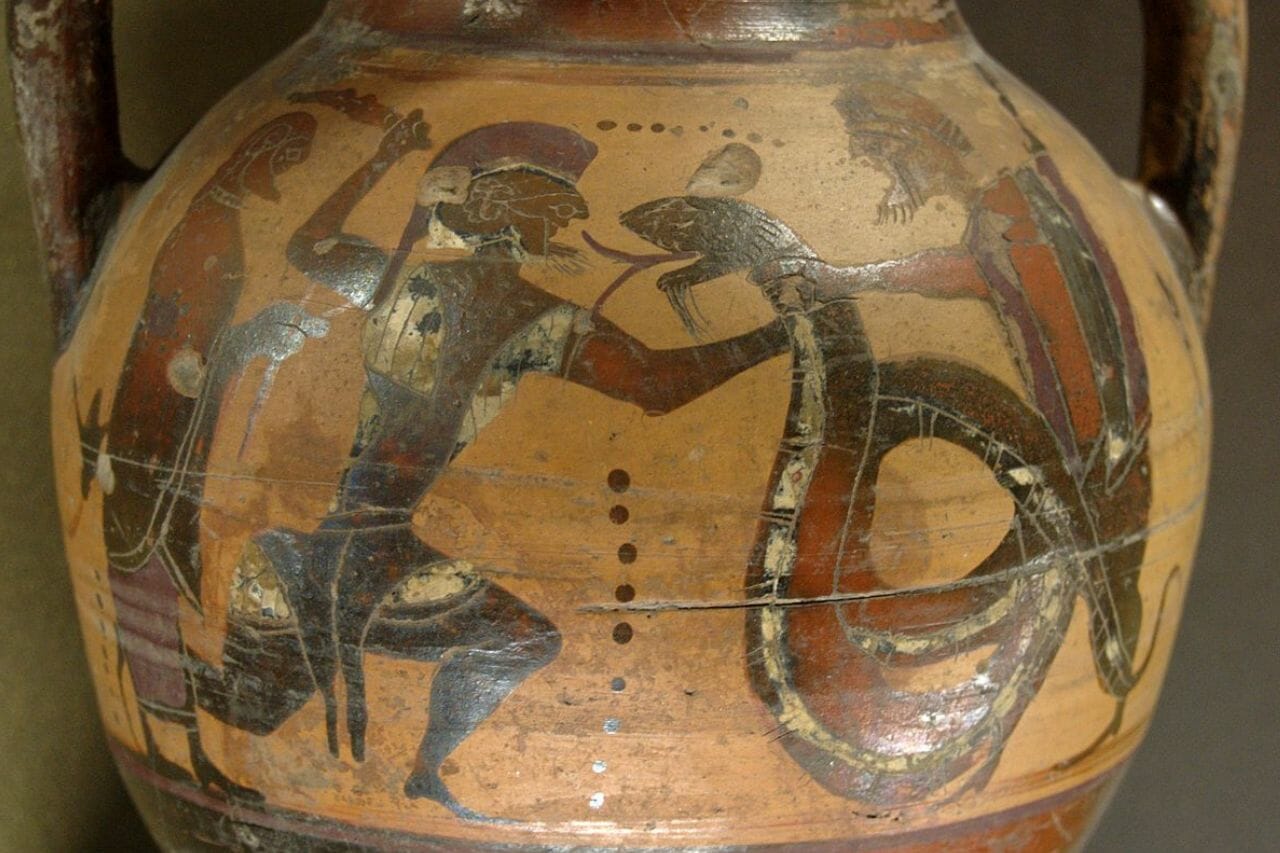 Campe the vicious dragon