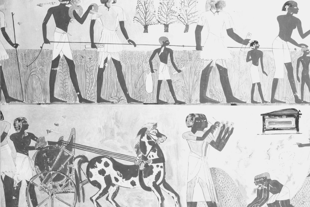 Horses in Ancient Egypt: How They Became Important