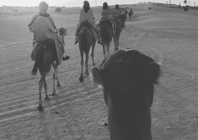 Bedouins: Living Life in Simplicity Beyond Compare
