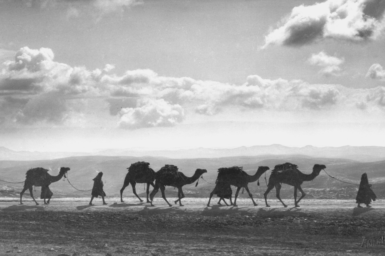 Palestine's History: A Country on the Crossroads of Faith