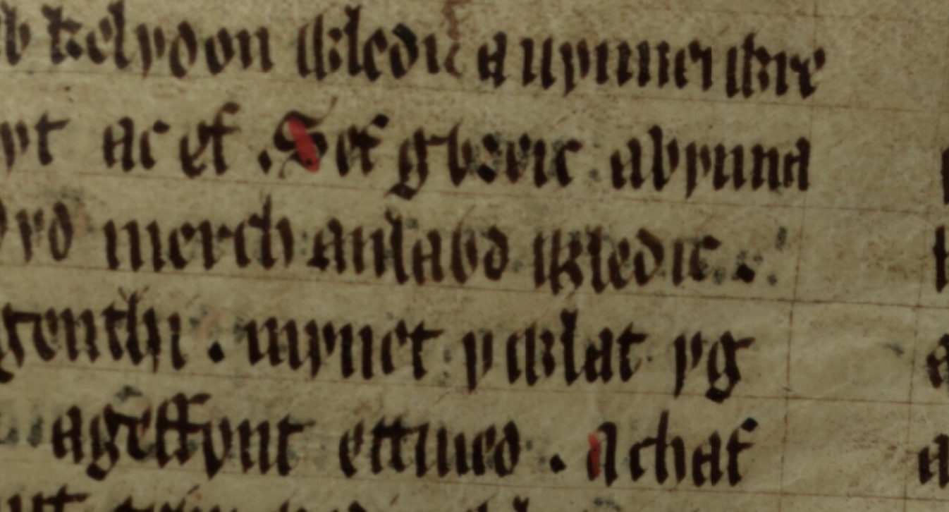 Culhwch and Olwen, folio 200v, showing what may be the earliest surviving reference to Amlawdd