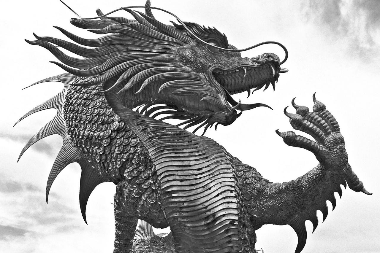 Dragon With Fur: The Tale of A Flying Lizard