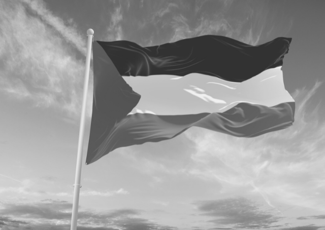 Flag of Palestine