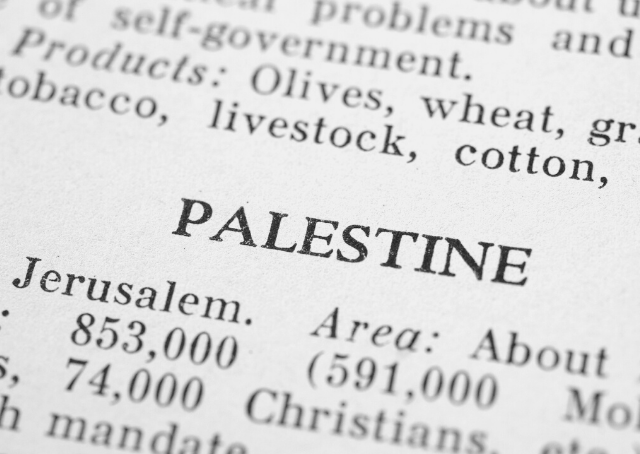 History of Palestine in a book