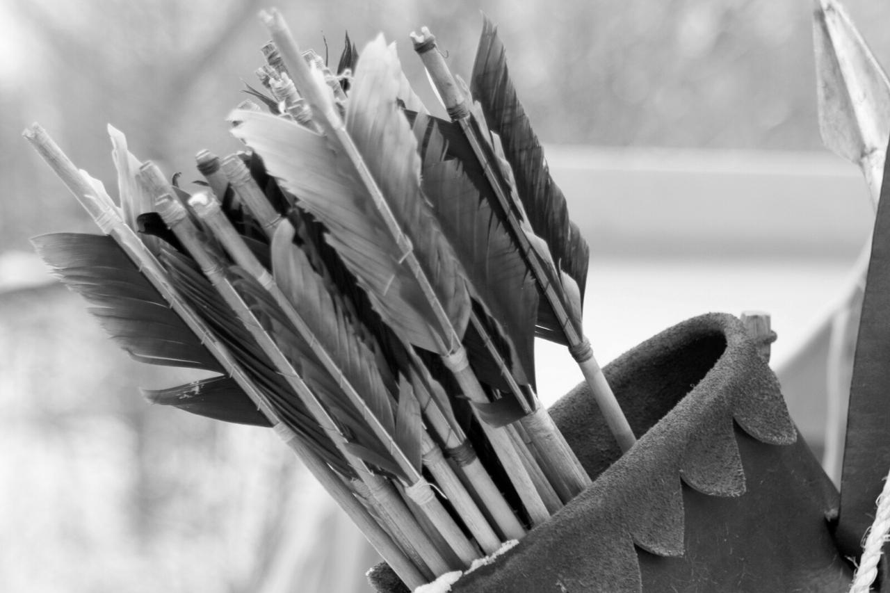 How Many Arrows in a Quiver? Basics of Bows and Arrows