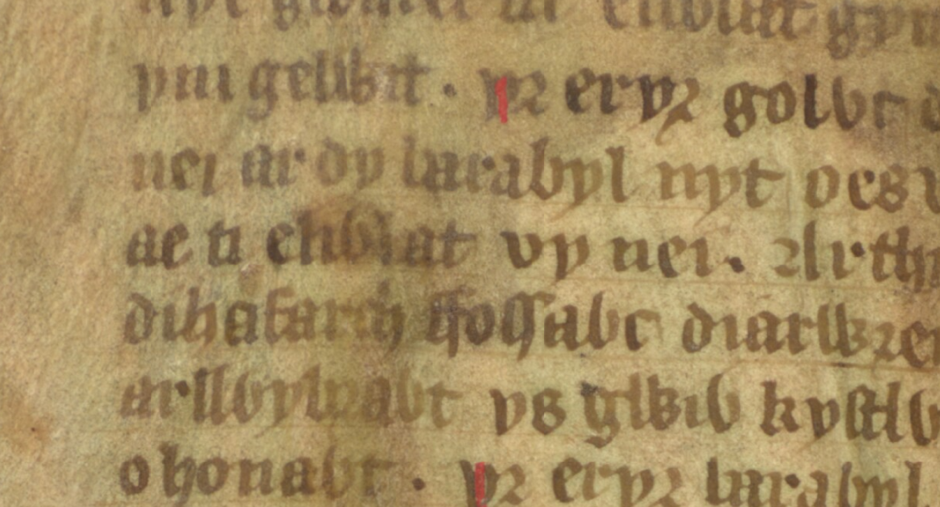 Eliwlod, Nephew of King Arthur