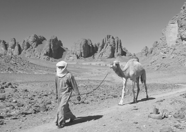 Algeria: A History of Struggle and Independence