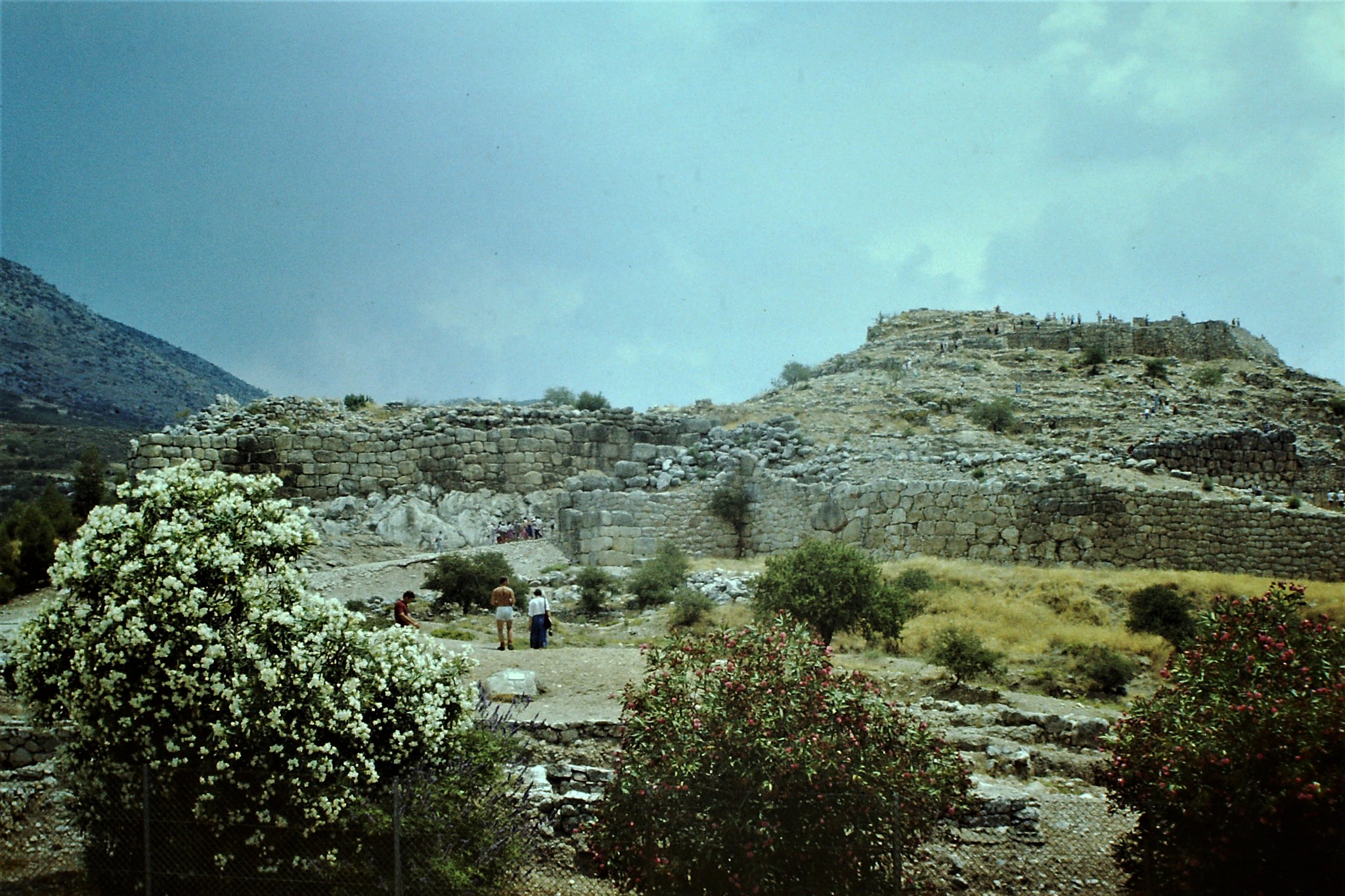 Was Agamemnon the King of Mycenae or Argos?