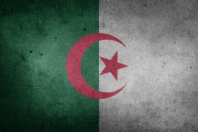 National Algerian flag
