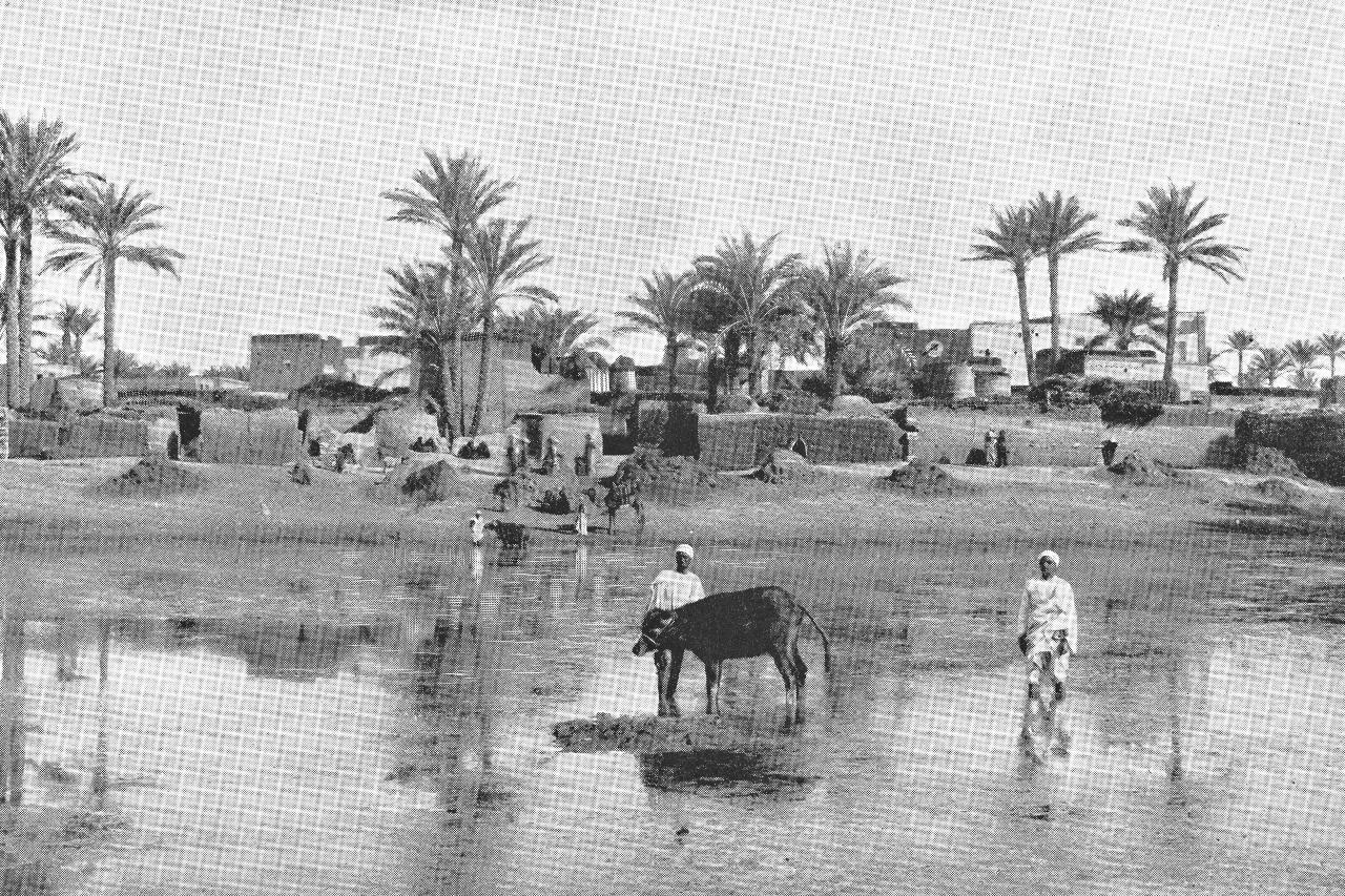 The Ottoman Empire's Social Structure: The Reason Behind the Empire’s Fall