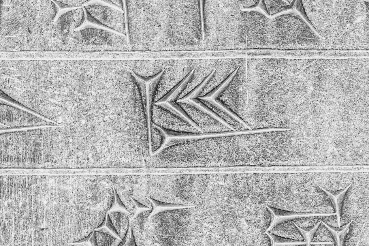 Part of ancient cuneiform of the Apadana at the Persepolis Iran