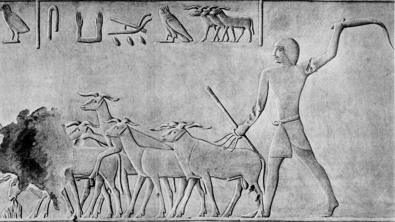 Why Were Shepherds an Abomination to Egypt? Four Compelling Theories