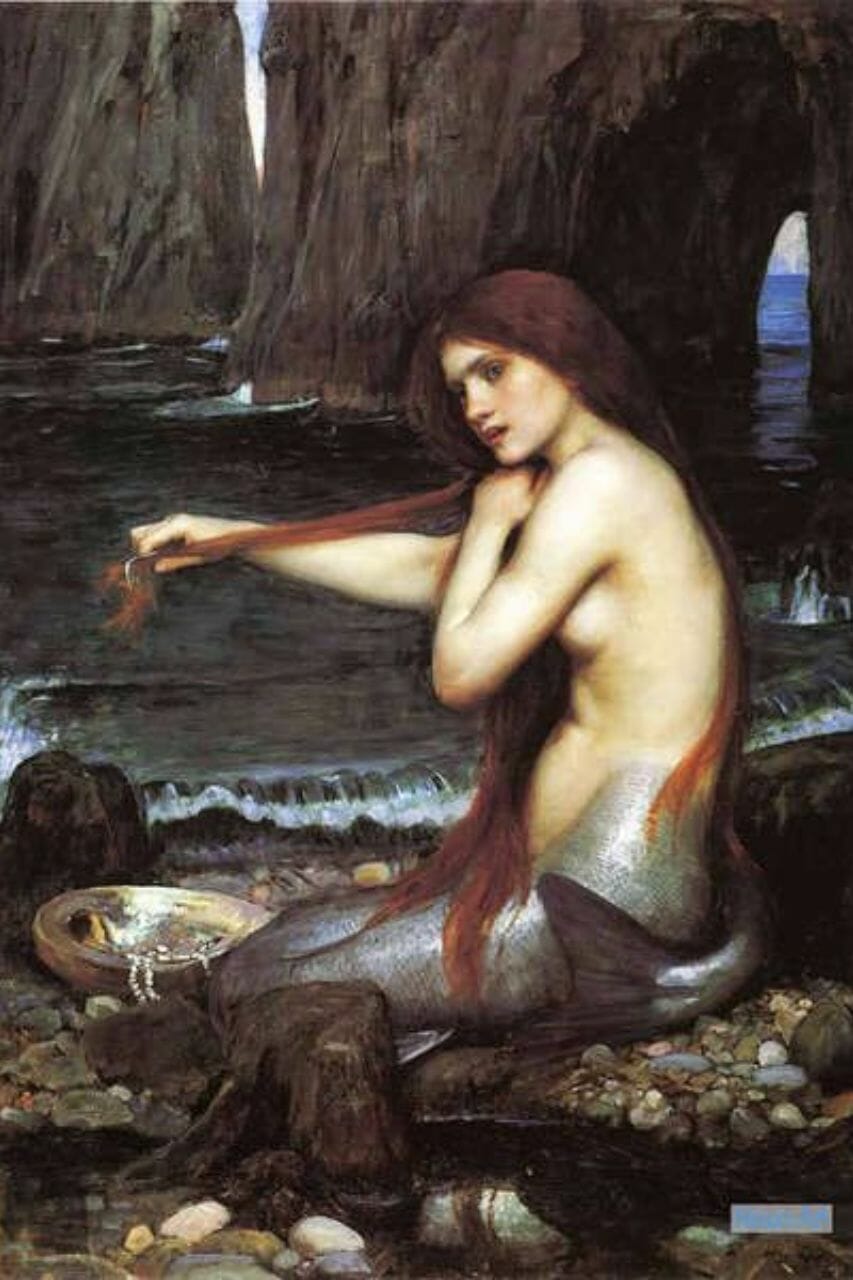 Siren vs Mermaid - what are the differences