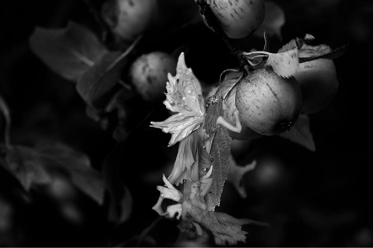 What Do Fairies Eat And Who Gives Them Food