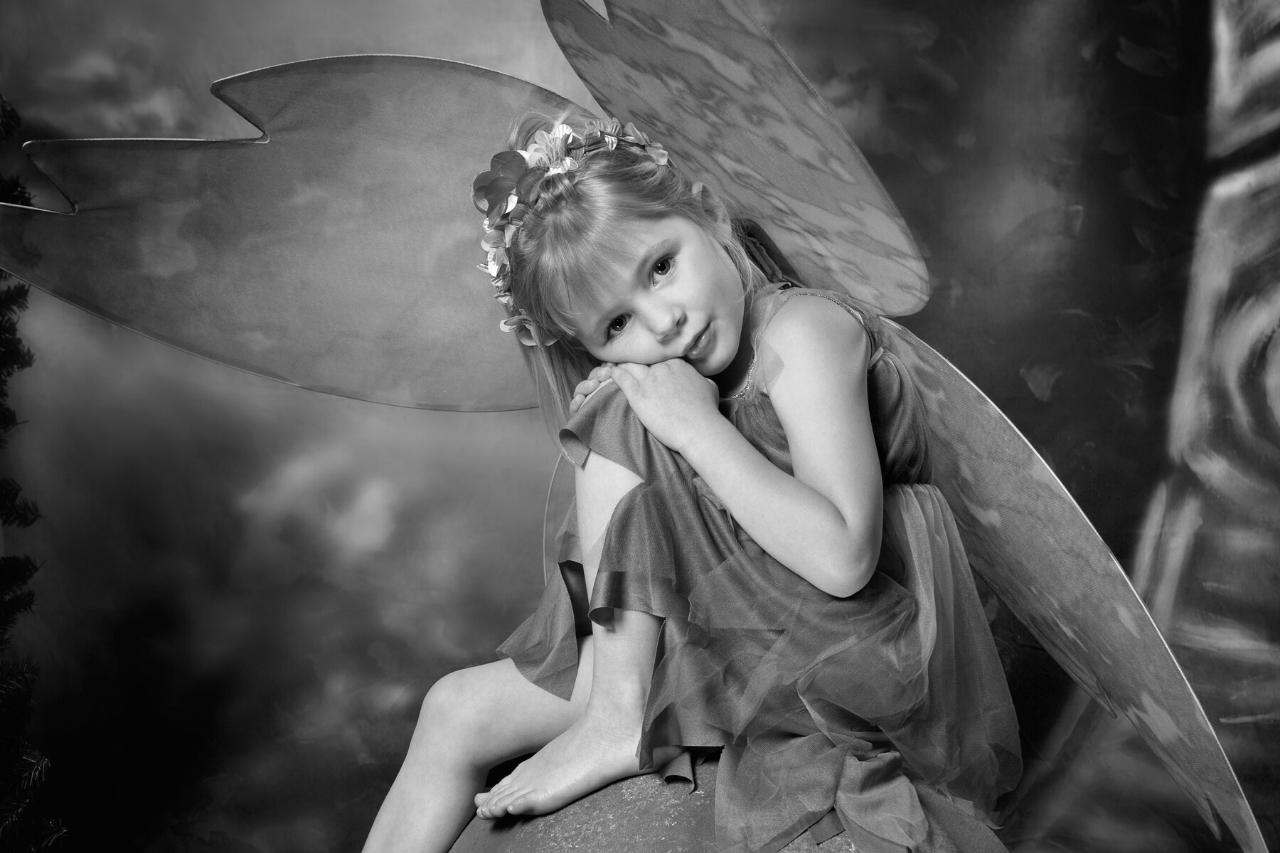 What do fairies look like